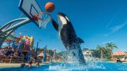Ballislife And SeaWorld San Diego Team Up For High School All American 